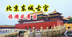 欧美巨大鸡巴插爆乳淫妇中国北京-东城古宫旅游风景区